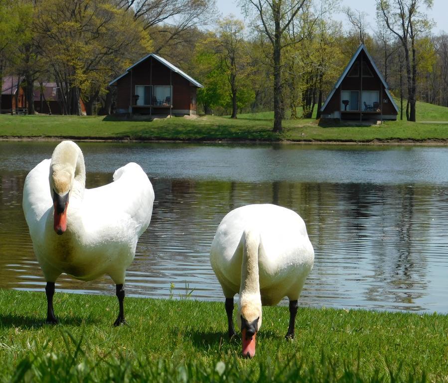 Serenity Springs - Michigan City Hotel Springfield Zewnętrze zdjęcie