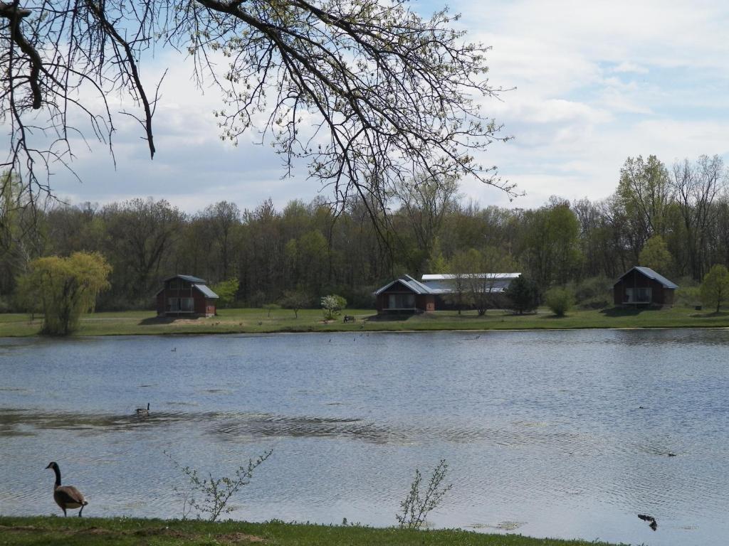 Serenity Springs - Michigan City Hotel Springfield Zewnętrze zdjęcie